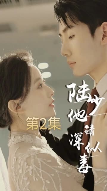 陆少他情深似毒全集(大结局)