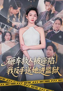 砸车救人被诬陷，我反手送她进监狱(全集)