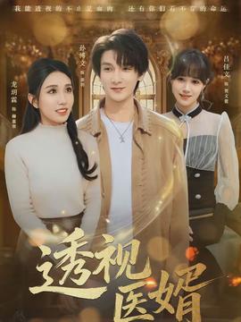 透视医婿(全集)